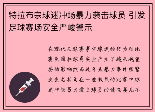 特拉布宗球迷冲场暴力袭击球员 引发足球赛场安全严峻警示
